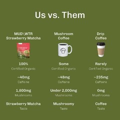 MUDWTR Organic Strawberry Matcha Mushroom Coffee Alternative – 2.1oz