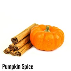 Pumpkin Spice Flavored Coffee Whole Bean Fresh Roasted 16oz Bag Gourmet