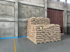 Swiss Water Decaf Green Coffee Beans 5 lb Five-Origin Blend
