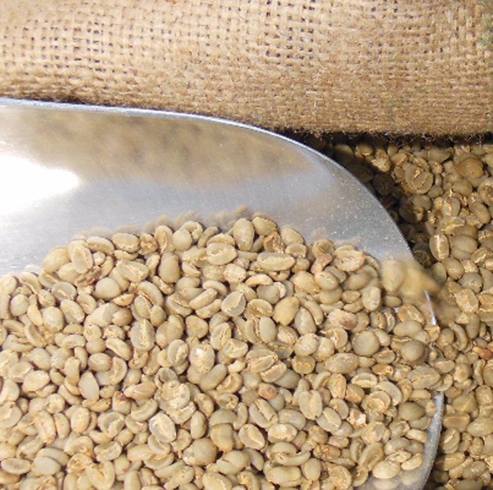 Indonesia – Sumatra Mandheling – Permata Gayo – Organic, Rain Forest – Unroasted