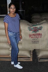 Costa Rican Tarrazu Coffee Beans Dark Roasted Daily 2 Bags 1 Pound Bags