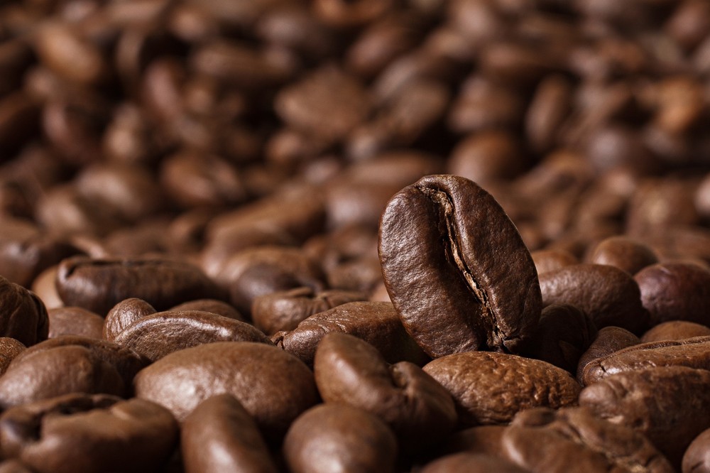 2025 COFFEE – Colombian Supremo Medellin – 12 oz bag – Medium Roast