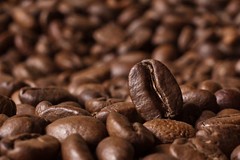 2026. COFFEE – Colombian Supremo Medellin – 8 oz bag – Medium Roast