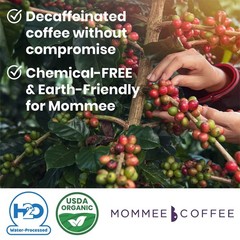 Half Caf Low Acid Whole Organic Coffee Beans – 100 Arabica Organic Half Caff …