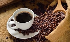 Ground Truly Yigracheffee Ethiopian Coffee Kochore Highland Coffee 500g/1.1lb