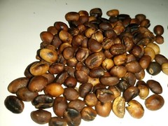 100% Ceylon Coffee bean super taste roasted homemade 1-1/2 pound (free shipping)