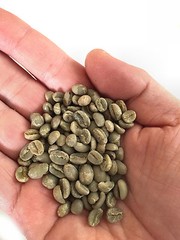 5 LBS natural Brazil Cerrado sc 14/16 green coffee
