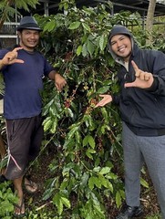 1 lb Certified 100% Sumatran (Lintong) Coffee—Freshly Roasted To Order!