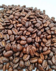 Coffee Beans /Tanzanian Peaberry Kilimanjaro/ 10 Pound / ROASTED