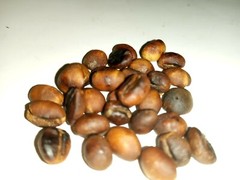 100% Ceylon Coffee bean super taste roasted homemade 1-1/2 pound (free shipping)