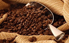 Miscela D’Oro Natura Organic Espresso Beans, 2.2lb Bag