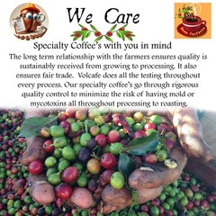 2 lb Mexico Chiapas Highlands Washed SHG Fresh Roasted Coffee Whole Bean