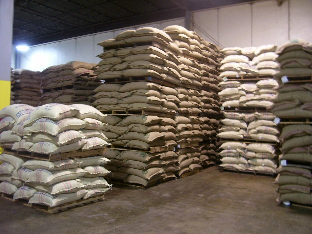 2026 Colombian Coffee Coffee Beans – 8 oz , Medium Roast Whole Bean