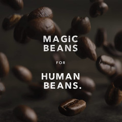 Kicking Horse Coffee, Decaf, Swiss Water Process, Dark Roast, Whole Bean, 1 Lb –