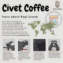 Premium Luwak Coffee 100% Wild Civet Coffee Roasted Christmas Holiday Gift 7 Oz