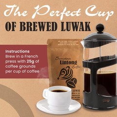 Wild Kopi Luwak, the World’s Most Exclusive Coffee, Sustainably Sourced From …