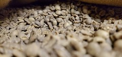 5 LB BRAZIL SWP SWISS WATER PROCESS UNROASTED GREEN COFFEE BEANS – ARABICA DECAF