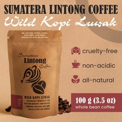 Wild Kopi Luwak, the World’s Most Exclusive Coffee, Sustainably Sourced From …