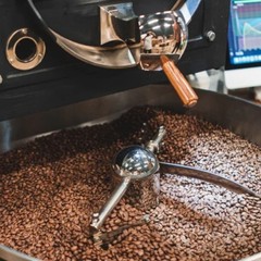 Indonesia Aceh Gayo Arabica Coffee Beans | Fresh Roasted Single Origin 500g