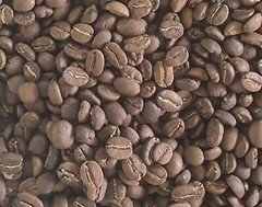 Kenya AA Nyeri Green Beans,NewCrop,Unroasted Coffee Beans,Kenya Specialty Coffee