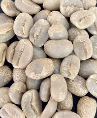 COLOMBIAN GREEN COFFEE – CATURRA, ARABICA – SINGLE ESTATE – HUILA, CO – 10 LB