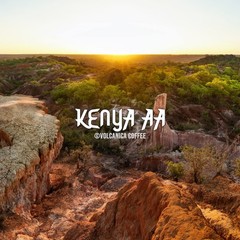 Kenya AA Coffee 100% Pure Whole Bean Fresh Roasted Kosher Blend 16 Ounce