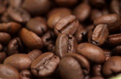 2026 One Bag – Premium Roast Coffee – Fresh Roasted Daily – Whole Bean Coffee