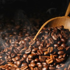 Indonesia Aceh Gayo Arabica Coffee Beans | Fresh Roasted Single Origin 500g
