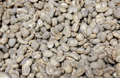 5 LB INDONESIA SUMATRA MANDHELING UNROASTED GREEN COFFEE BEANS – ARABICA – New