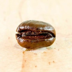 BRAZILIAN YELLOW BOURBON COFFEE BEANS PEABERRY MEDIUM ROASTED 2 POUNDS