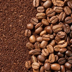 Java Arabica Coffee Beans Fresh Roasted Single Origin Indonesian Whole Bean 500g