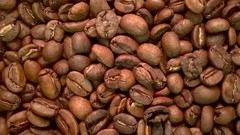 Coffee Beans / Sumatra Lake Toba Lintong/ 10 Pound / ROASTED