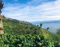 5 LB CATURRA, ARABICA – SINGLE ESTATE – COLOMBIAN UNROASTED GREEN COFFEE BEANS 