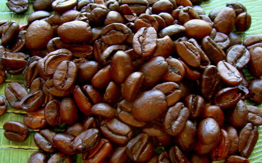 ORGANIC Haitian Blue Mountain Coffee Medium / Light Roast 10 Lbs