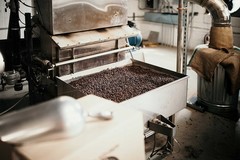 Nicaragua Coffee Beans Medium Roast Premium Single Origin Roasters 12 Oz