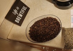 Fresh Motivations Colombian Coffee Light Roast Daily Drinkers Pack 3 lb