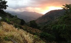 GUATEMALAN HUEHUETENANGO COFFEE BEANS DARK ROASTED 2 POUNDS