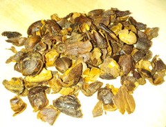 Cascara coffee cherry tea (Costa Rica, Las Lajas Perla Negra), 300g