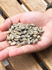 MEXICAN PUEBLA (UNROASTED GREEN CATURRA – BOURBON COFFEE BEAN) order 1 to 20 lbs