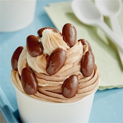 Albanese Milk Chocolate Covered Almonds 10 lb. WS-711ALB1003