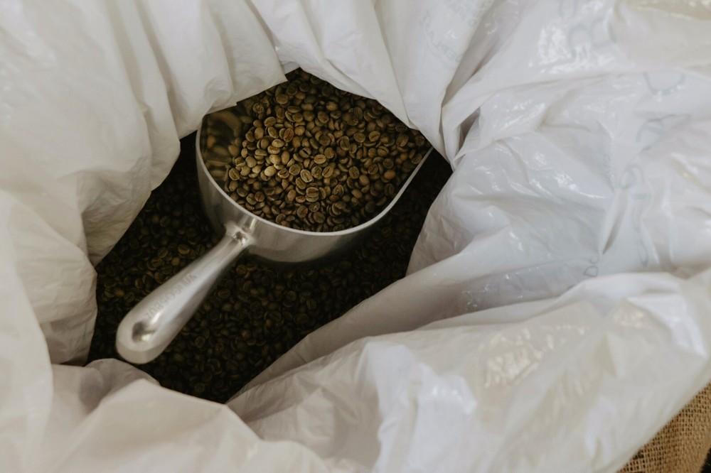 1 lb. 100% Jamaican Blue Mt. Peaberry-Wallenford(Unroasted Green)(Home Roasting)