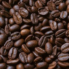 Indonesia Aceh Gayo Arabica Coffee Beans – Fresh Roasted Single Origin 1kg