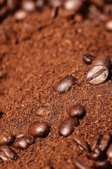 2, 5, 10- LB KENIA FRESH ROASTED COFFEE WHOLE BEAN, GROUND – ARABICA