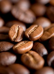 2025 Colombian Coffee Coffee Beans – 8 oz , Medium Roast Whole Bean