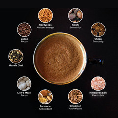 MUD WTR Organic Mushroom Coffee Alternative – 2.5oz