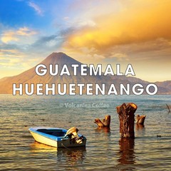 Guatemala Coffee Huehuetenango Whole Bean Medium Roast Fresh Roasted 16 Ounce