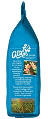 Whole Bean Coffee – Smooth Non-Bitter Pure Arabica Light Floral Notes & Bright