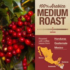 Mayorga Organic Coffee 5Lb Mayan Blend – Medium Roast Whole Bean Coffee Specialt