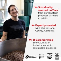 Equator Coffees, Blend Whole Bean 10.5 Ounce (Pack of 1), Black