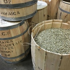 1 lb of Certified ORGANIC Jamaica Blue Mountain Coffee ~ Customize Your Roast!